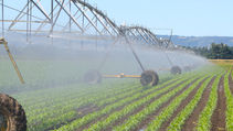 Water Waste in Agriculture